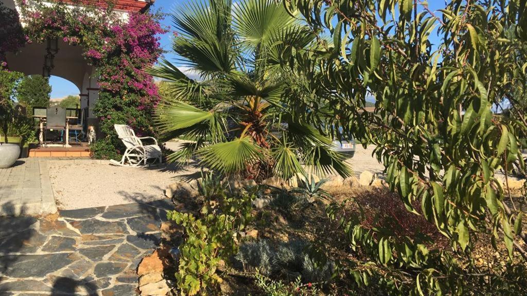 Villa Entre Mer Et Montagne Аркос де ла Фронтера Экстерьер фото